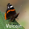 Vulcain 